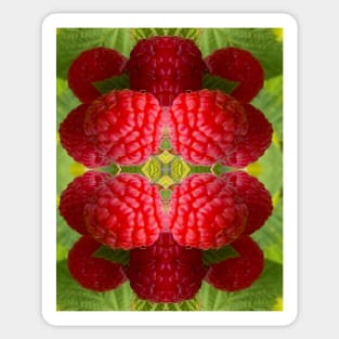 Big Red Raspberries Sticker